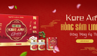 HỒNG SÂM YẾN KORE-AMP